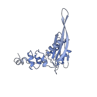 25533_7sym_D_v1-0
Structure of the HCV IRES bound to the 40S ribosomal subunit, head opening. Structure 7(delta dII)