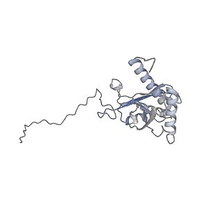 25533_7sym_E_v1-0
Structure of the HCV IRES bound to the 40S ribosomal subunit, head opening. Structure 7(delta dII)