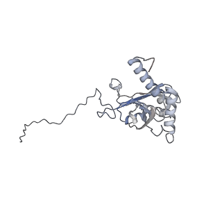 25533_7sym_E_v1-1
Structure of the HCV IRES bound to the 40S ribosomal subunit, head opening. Structure 7(delta dII)