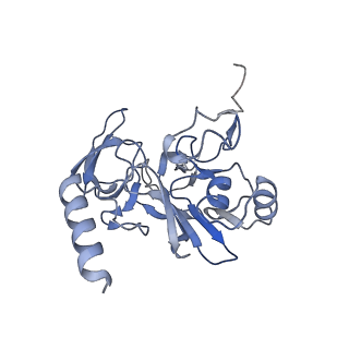 25533_7sym_F_v1-0
Structure of the HCV IRES bound to the 40S ribosomal subunit, head opening. Structure 7(delta dII)
