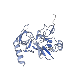 25533_7sym_F_v1-1
Structure of the HCV IRES bound to the 40S ribosomal subunit, head opening. Structure 7(delta dII)
