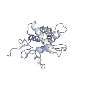 25533_7sym_G_v1-0
Structure of the HCV IRES bound to the 40S ribosomal subunit, head opening. Structure 7(delta dII)