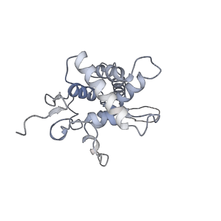 25533_7sym_G_v1-1
Structure of the HCV IRES bound to the 40S ribosomal subunit, head opening. Structure 7(delta dII)