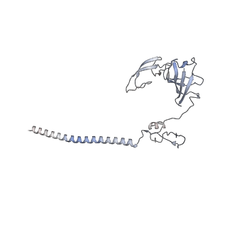 25533_7sym_H_v1-0
Structure of the HCV IRES bound to the 40S ribosomal subunit, head opening. Structure 7(delta dII)