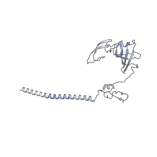 25533_7sym_H_v1-1
Structure of the HCV IRES bound to the 40S ribosomal subunit, head opening. Structure 7(delta dII)