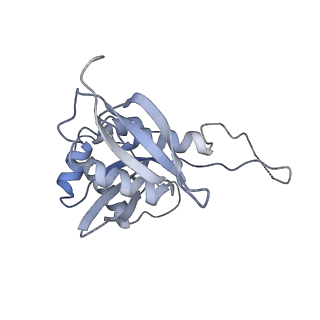 25533_7sym_I_v1-0
Structure of the HCV IRES bound to the 40S ribosomal subunit, head opening. Structure 7(delta dII)