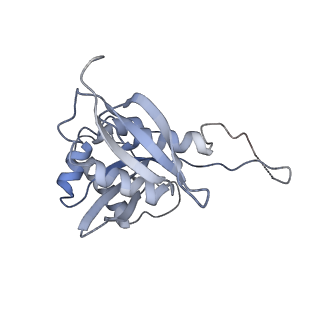 25533_7sym_I_v1-1
Structure of the HCV IRES bound to the 40S ribosomal subunit, head opening. Structure 7(delta dII)