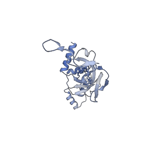25533_7sym_J_v1-0
Structure of the HCV IRES bound to the 40S ribosomal subunit, head opening. Structure 7(delta dII)