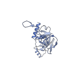 25533_7sym_J_v1-1
Structure of the HCV IRES bound to the 40S ribosomal subunit, head opening. Structure 7(delta dII)