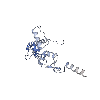 25533_7sym_K_v1-0
Structure of the HCV IRES bound to the 40S ribosomal subunit, head opening. Structure 7(delta dII)