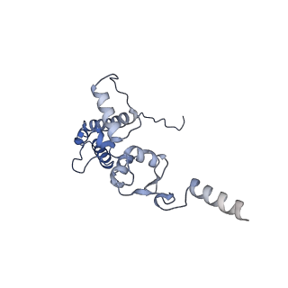 25533_7sym_K_v1-1
Structure of the HCV IRES bound to the 40S ribosomal subunit, head opening. Structure 7(delta dII)