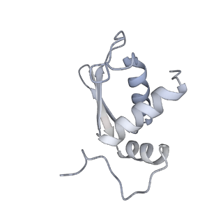 25533_7sym_L_v1-0
Structure of the HCV IRES bound to the 40S ribosomal subunit, head opening. Structure 7(delta dII)