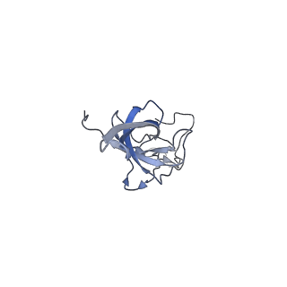 25533_7sym_M_v1-1
Structure of the HCV IRES bound to the 40S ribosomal subunit, head opening. Structure 7(delta dII)