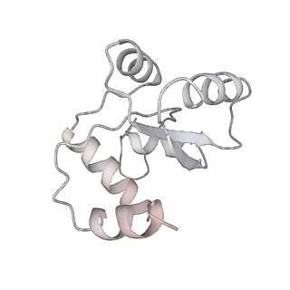 25533_7sym_N_v1-0
Structure of the HCV IRES bound to the 40S ribosomal subunit, head opening. Structure 7(delta dII)