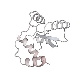 25533_7sym_N_v1-1
Structure of the HCV IRES bound to the 40S ribosomal subunit, head opening. Structure 7(delta dII)