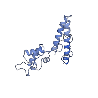 25533_7sym_O_v1-0
Structure of the HCV IRES bound to the 40S ribosomal subunit, head opening. Structure 7(delta dII)
