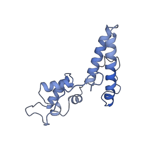 25533_7sym_O_v1-1
Structure of the HCV IRES bound to the 40S ribosomal subunit, head opening. Structure 7(delta dII)