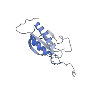 25533_7sym_P_v1-0
Structure of the HCV IRES bound to the 40S ribosomal subunit, head opening. Structure 7(delta dII)