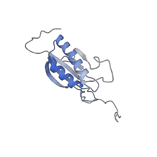 25533_7sym_P_v1-1
Structure of the HCV IRES bound to the 40S ribosomal subunit, head opening. Structure 7(delta dII)