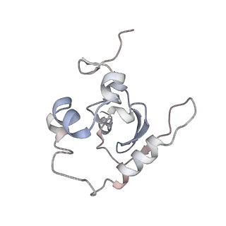 25533_7sym_Q_v1-0
Structure of the HCV IRES bound to the 40S ribosomal subunit, head opening. Structure 7(delta dII)