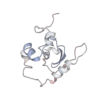 25533_7sym_Q_v1-1
Structure of the HCV IRES bound to the 40S ribosomal subunit, head opening. Structure 7(delta dII)