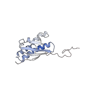 25533_7sym_R_v1-0
Structure of the HCV IRES bound to the 40S ribosomal subunit, head opening. Structure 7(delta dII)
