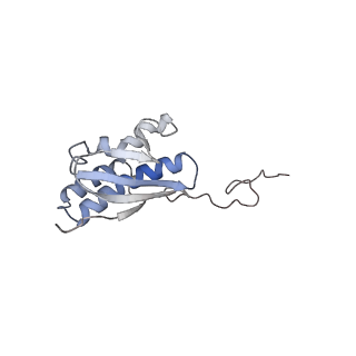 25533_7sym_R_v1-1
Structure of the HCV IRES bound to the 40S ribosomal subunit, head opening. Structure 7(delta dII)