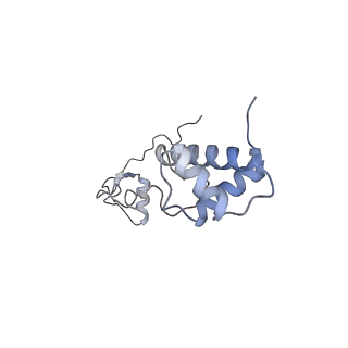 25533_7sym_S_v1-0
Structure of the HCV IRES bound to the 40S ribosomal subunit, head opening. Structure 7(delta dII)