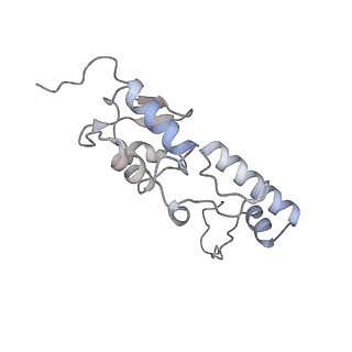 25533_7sym_T_v1-0
Structure of the HCV IRES bound to the 40S ribosomal subunit, head opening. Structure 7(delta dII)