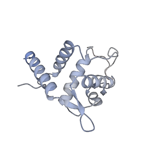 25533_7sym_U_v1-0
Structure of the HCV IRES bound to the 40S ribosomal subunit, head opening. Structure 7(delta dII)
