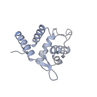 25533_7sym_U_v1-1
Structure of the HCV IRES bound to the 40S ribosomal subunit, head opening. Structure 7(delta dII)