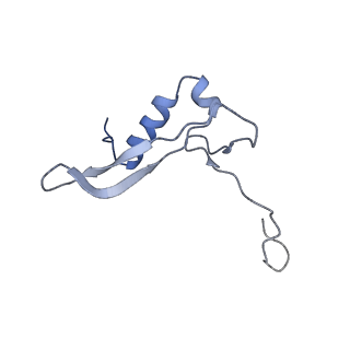 25533_7sym_W_v1-0
Structure of the HCV IRES bound to the 40S ribosomal subunit, head opening. Structure 7(delta dII)