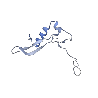 25533_7sym_W_v1-1
Structure of the HCV IRES bound to the 40S ribosomal subunit, head opening. Structure 7(delta dII)
