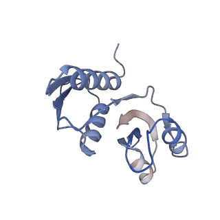 25533_7sym_X_v1-0
Structure of the HCV IRES bound to the 40S ribosomal subunit, head opening. Structure 7(delta dII)