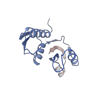 25533_7sym_X_v1-1
Structure of the HCV IRES bound to the 40S ribosomal subunit, head opening. Structure 7(delta dII)