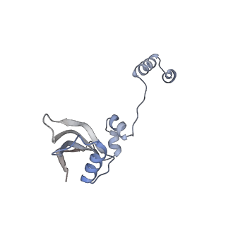25533_7sym_Z_v1-0
Structure of the HCV IRES bound to the 40S ribosomal subunit, head opening. Structure 7(delta dII)