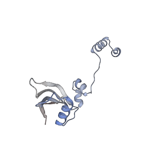 25533_7sym_Z_v1-1
Structure of the HCV IRES bound to the 40S ribosomal subunit, head opening. Structure 7(delta dII)