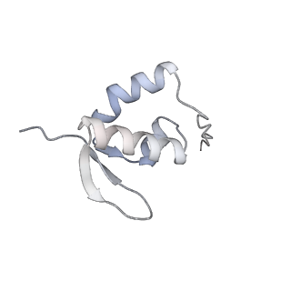 25533_7sym_a_v1-0
Structure of the HCV IRES bound to the 40S ribosomal subunit, head opening. Structure 7(delta dII)