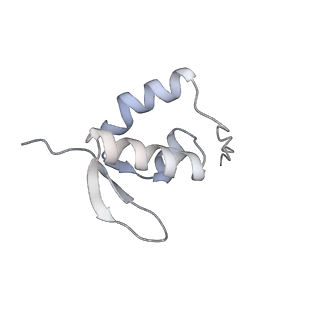 25533_7sym_a_v1-1
Structure of the HCV IRES bound to the 40S ribosomal subunit, head opening. Structure 7(delta dII)