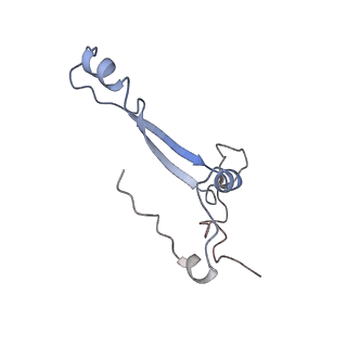 25533_7sym_b_v1-0
Structure of the HCV IRES bound to the 40S ribosomal subunit, head opening. Structure 7(delta dII)