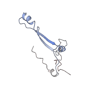 25533_7sym_b_v1-1
Structure of the HCV IRES bound to the 40S ribosomal subunit, head opening. Structure 7(delta dII)