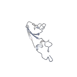 25533_7sym_c_v1-0
Structure of the HCV IRES bound to the 40S ribosomal subunit, head opening. Structure 7(delta dII)