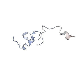 25533_7sym_e_v1-0
Structure of the HCV IRES bound to the 40S ribosomal subunit, head opening. Structure 7(delta dII)