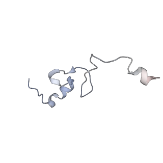 25533_7sym_e_v1-1
Structure of the HCV IRES bound to the 40S ribosomal subunit, head opening. Structure 7(delta dII)