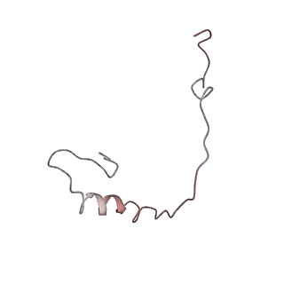 25533_7sym_f_v1-0
Structure of the HCV IRES bound to the 40S ribosomal subunit, head opening. Structure 7(delta dII)