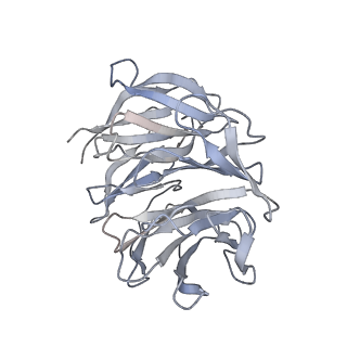 25533_7sym_h_v1-0
Structure of the HCV IRES bound to the 40S ribosomal subunit, head opening. Structure 7(delta dII)