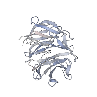 25533_7sym_h_v1-1
Structure of the HCV IRES bound to the 40S ribosomal subunit, head opening. Structure 7(delta dII)