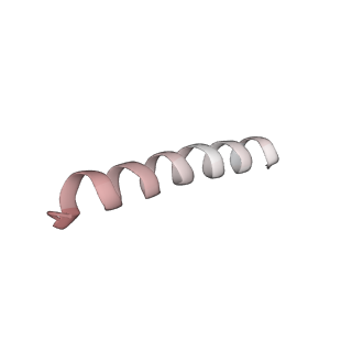 25533_7sym_n_v1-1
Structure of the HCV IRES bound to the 40S ribosomal subunit, head opening. Structure 7(delta dII)