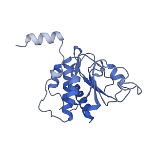 25534_7syn_B_v1-0
Structure of the HCV IRES bound to the 40S ribosomal subunit, head opening. Structure 8(delta dII)