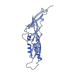 25534_7syn_C_v1-0
Structure of the HCV IRES bound to the 40S ribosomal subunit, head opening. Structure 8(delta dII)
